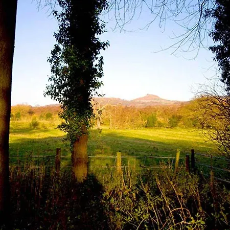 Beechwood Holiday home