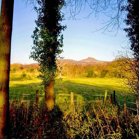 Beechwood * Middlesbrough